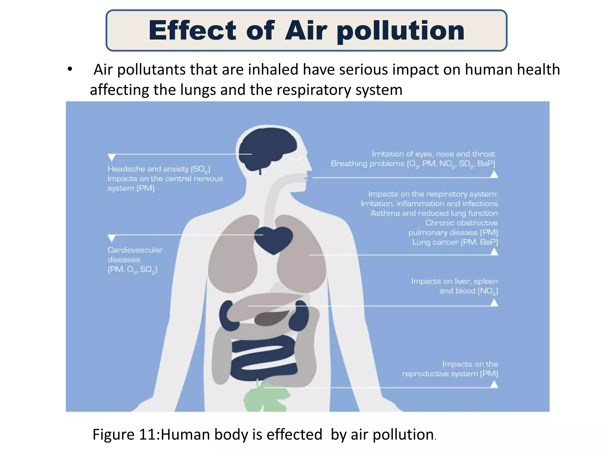 Effect of Air pollution 
• Air pollutants that are inhaled have serious impact on human health 
affecting the lungs and the respiratory system 
Figure 11:Human body is effected by air pollution. 
 