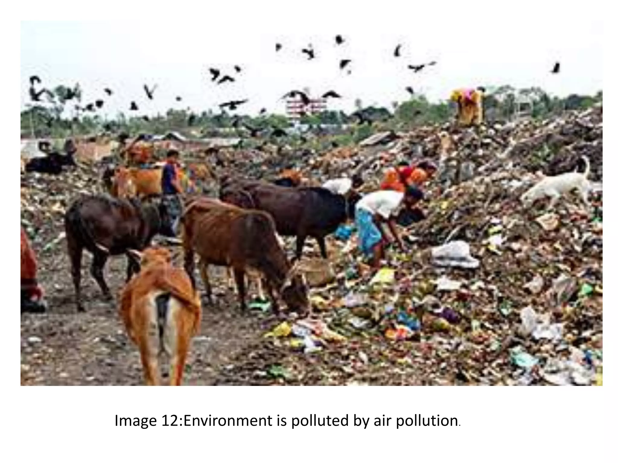Image 12:Environment is polluted by air pollution. 
 