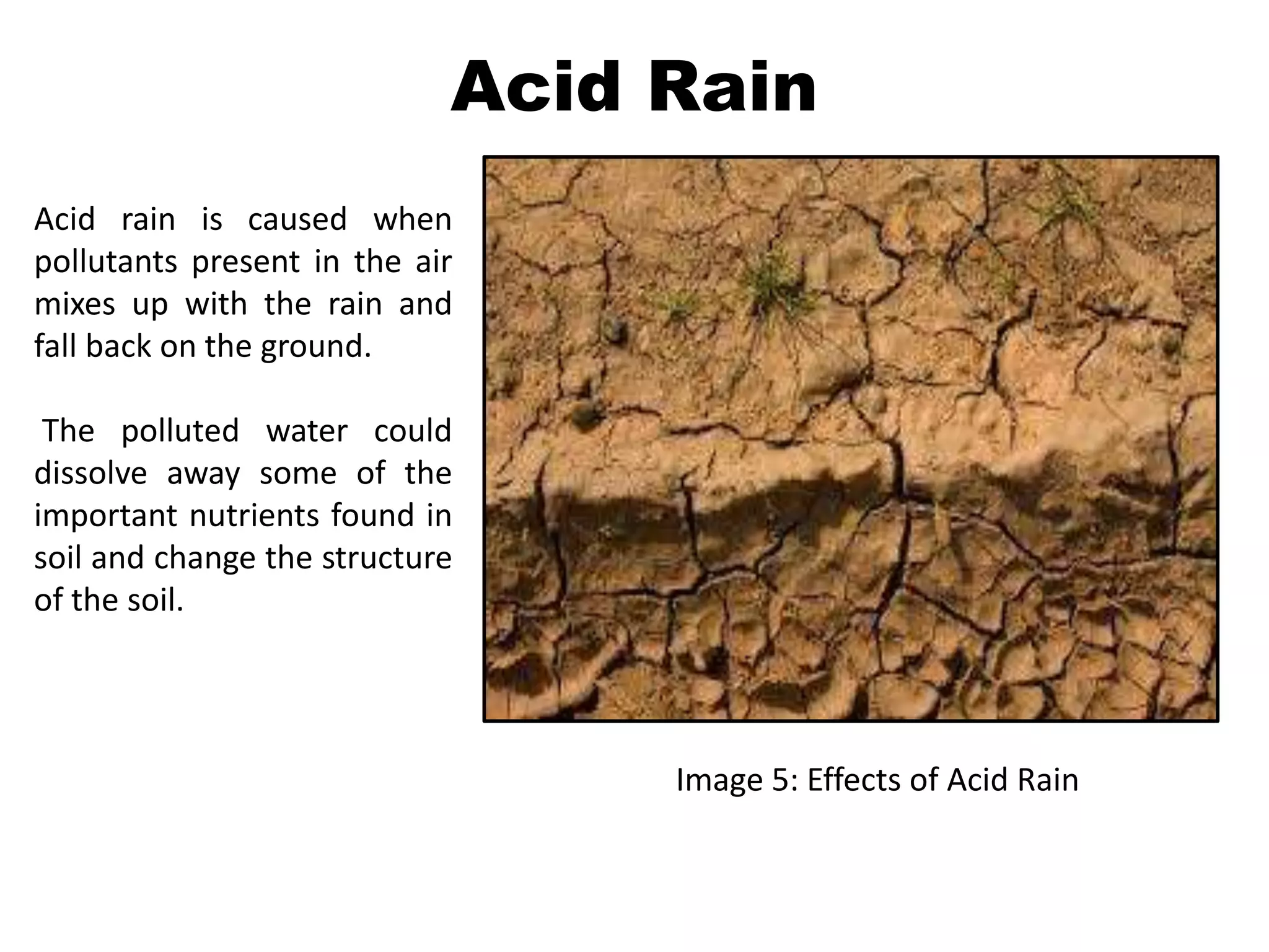 Acid Rain 
Acid rain is caused when 
pollutants present in the air 
mixes up with the rain and 
fall back on the ground. 
The polluted water could 
dissolve away some of the 
important nutrients found in 
soil and change the structure 
of the soil. 
Image 5: Effects of Acid Rain 
 
