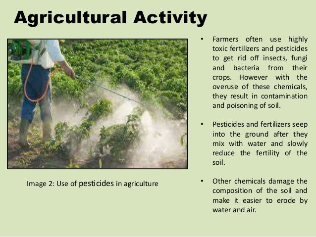 Essay use of pesticides