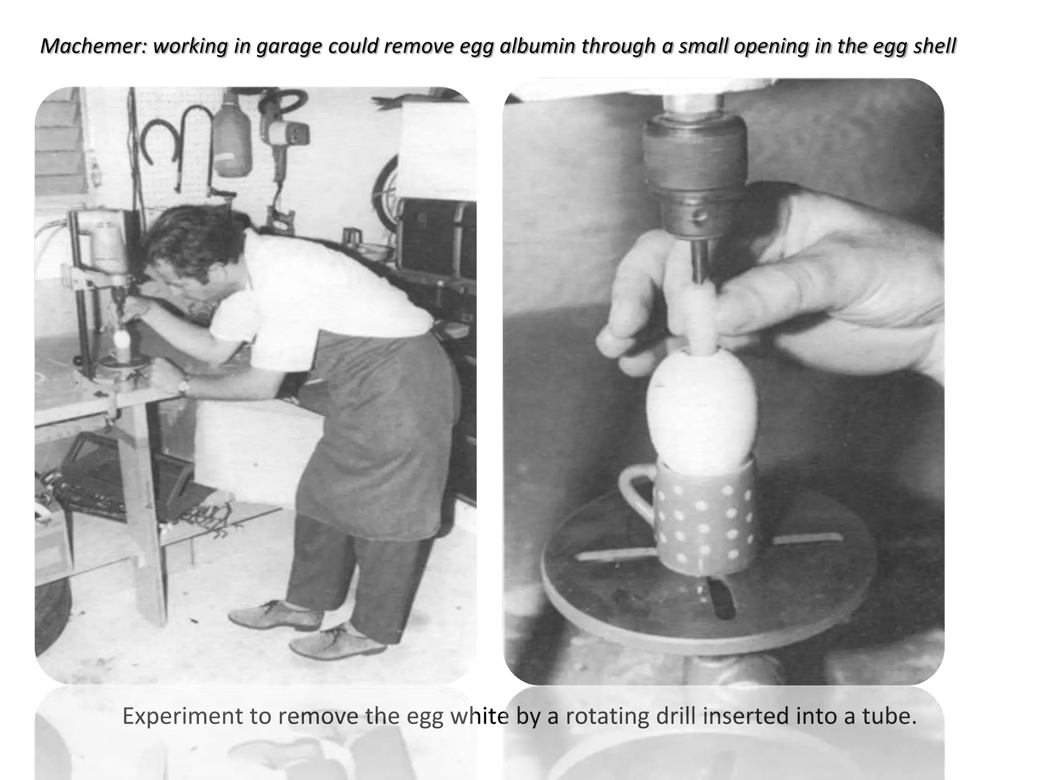 Experiment to remove the egg white by a rotating drill inserted into a tube.
Machemer: working in garage could remove egg albumin through a small opening in the egg shell
 