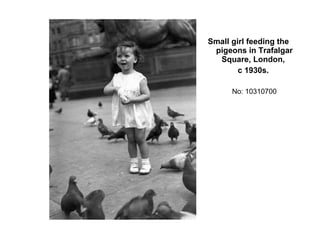Small girl feeding the pigeons in Trafalgar Square, London,  c 1930s.   No: 10310700 
