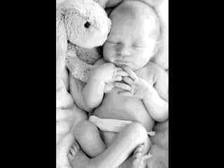 Presentation final pieces 