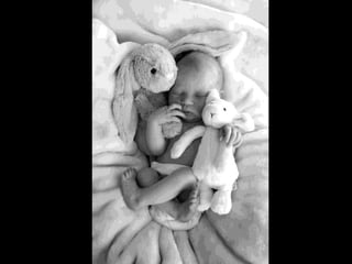 Presentation final pieces 