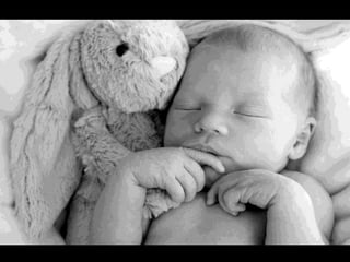 Presentation final pieces 