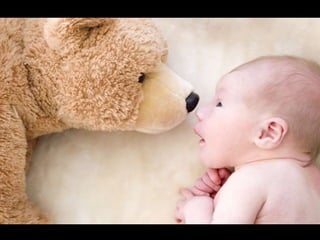 Presentation final pieces 