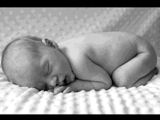 Presentation final pieces 