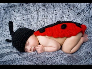 Presentation final pieces 