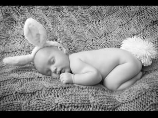 Presentation final pieces 