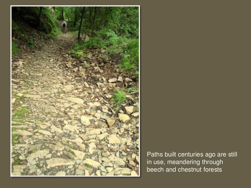 Presentation final salt paths