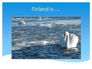 Finland is …
 