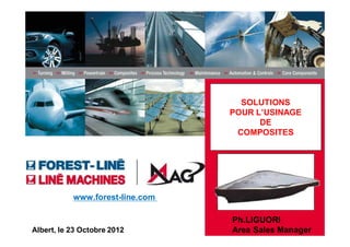 SOLUTIONS
                                  POUR L’USINAGE
                                        DE
                                   COMPOSITES


                                 Name


           www.forest-line.com

                                  Ph.LIGUORI
Albert, le 23 Octobre 2012        Area Sales Manager
 