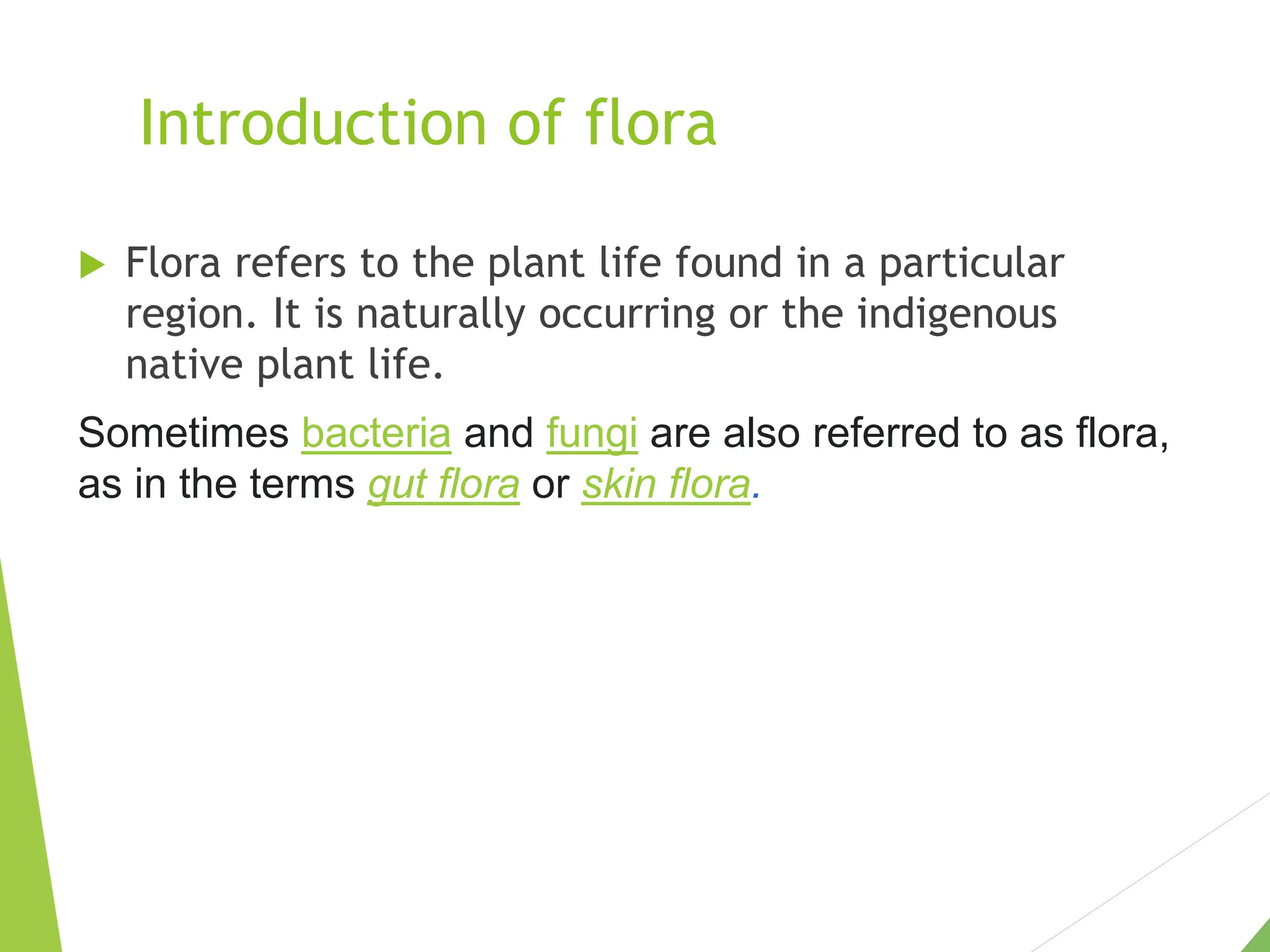 Presentation Flora.pptx