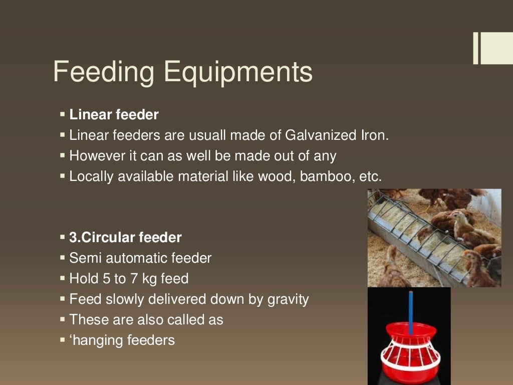 poultry farm equipments and their uses