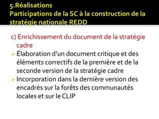 Les fonctions des acteurs non étatiques dans la REDD+ 