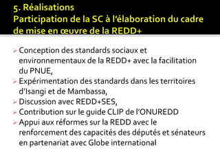Les fonctions des acteurs non étatiques dans la REDD+ 
