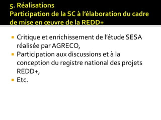Les fonctions des acteurs non étatiques dans la REDD+ 