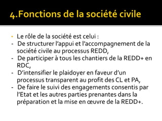 Les fonctions des acteurs non étatiques dans la REDD+ 