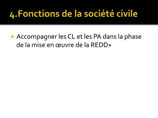 Les fonctions des acteurs non étatiques dans la REDD+ 