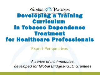 Developing a Training
Curriculum
in Tobacco Dependence
Treatment
for Healthcare Professionals
Expert Perspectives
A series of mini-modules
developed for Global Bridges/IGLC Grantees
 