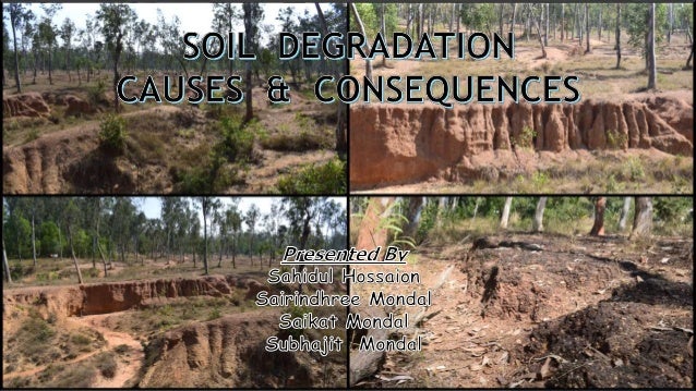 Causes And Consequences Of Soil Degradation