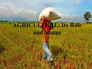 AGRICULTURE: Its Role
     and Status
 
