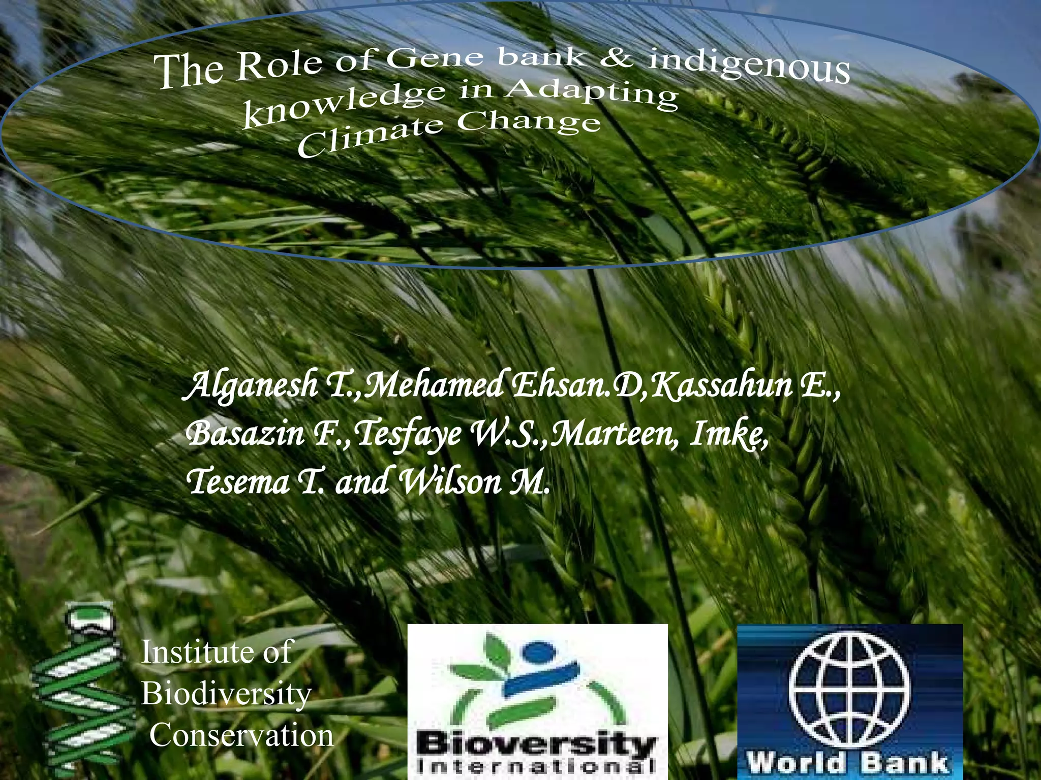 Alganesh T.,Mehamed Ehsan.D,Kassahun E.,
  Basazin F.,Tesfaye W.S.,Marteen, Imke,
  Tesema T. and Wilson M.



Institute of
Biodiversity
 Conservation
 