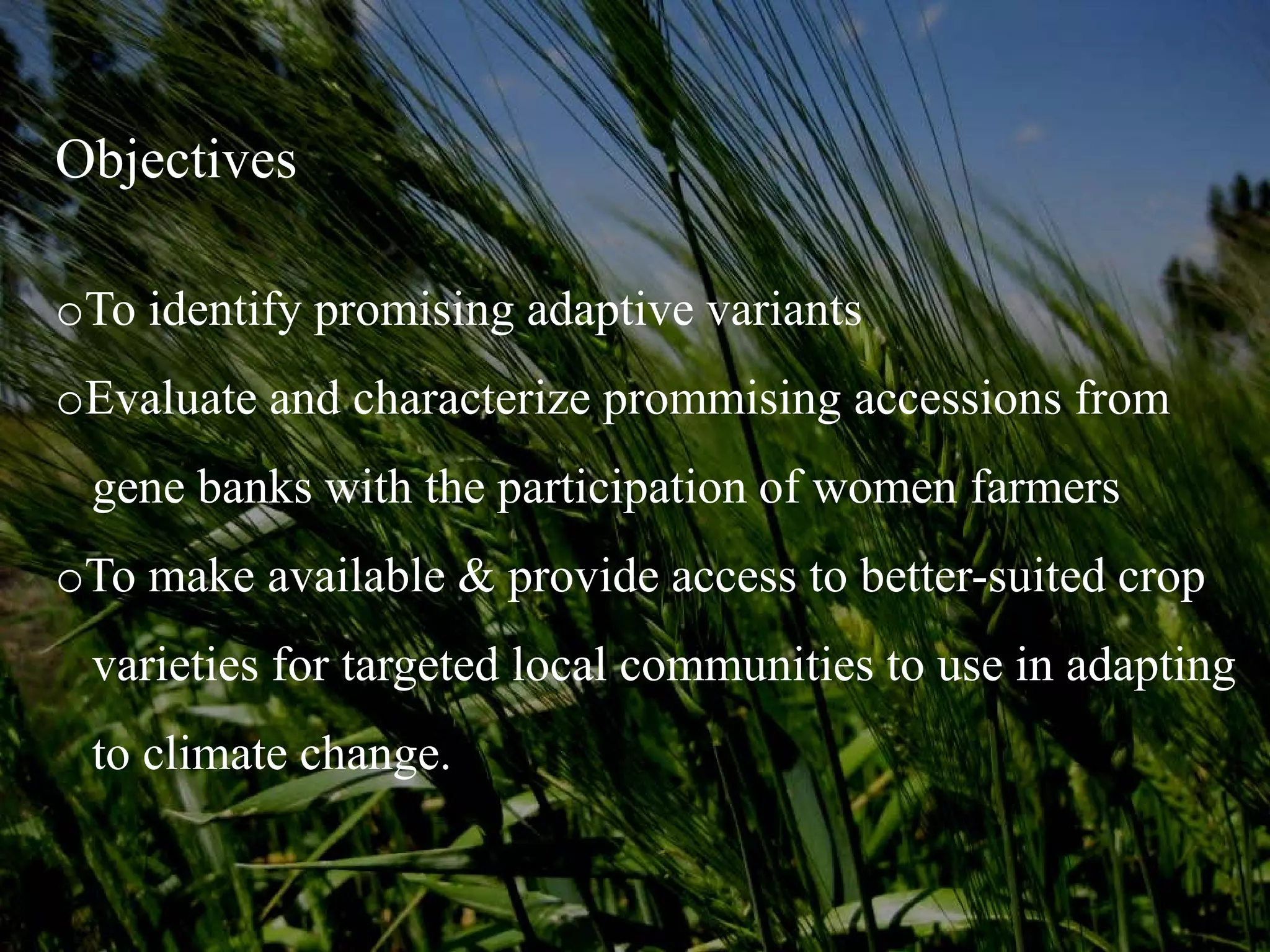 Objectives

oTo identify promising adaptive variants
oEvaluate and characterize prommising accessions from
 gene banks with the participation of women farmers
oTo make available & provide access to better-suited crop
 varieties for targeted local communities to use in adapting
 to climate change.
 