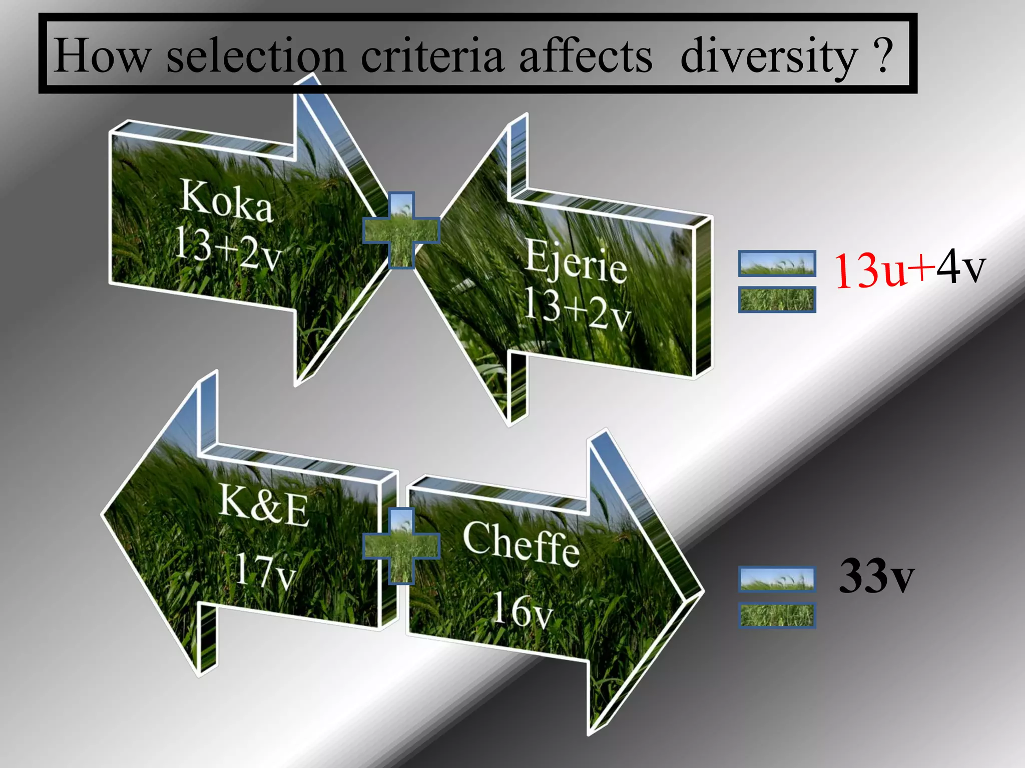 How selection criteria affects diversity ?




                                       33v
 