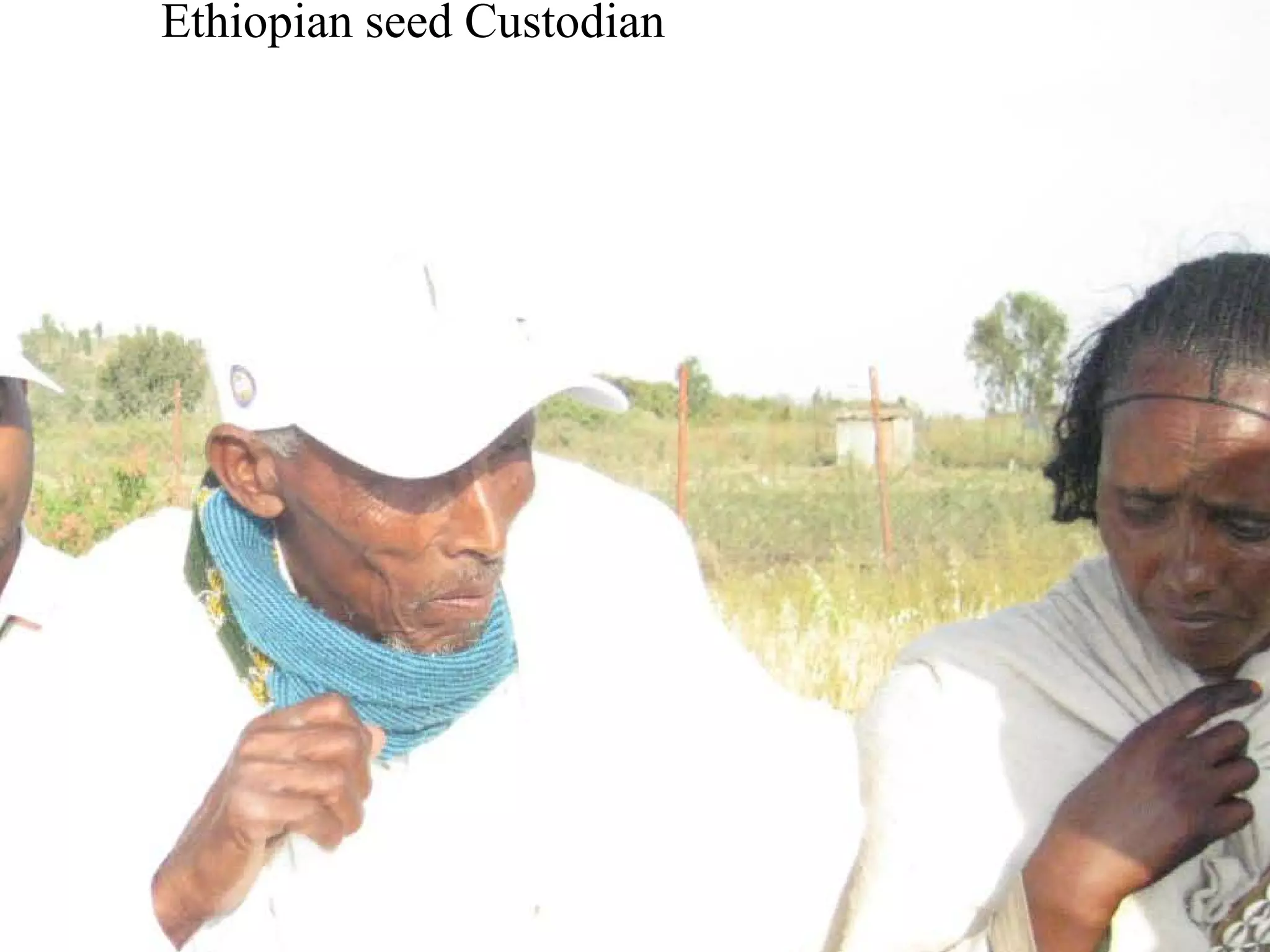 Ethiopian seed Custodian
 