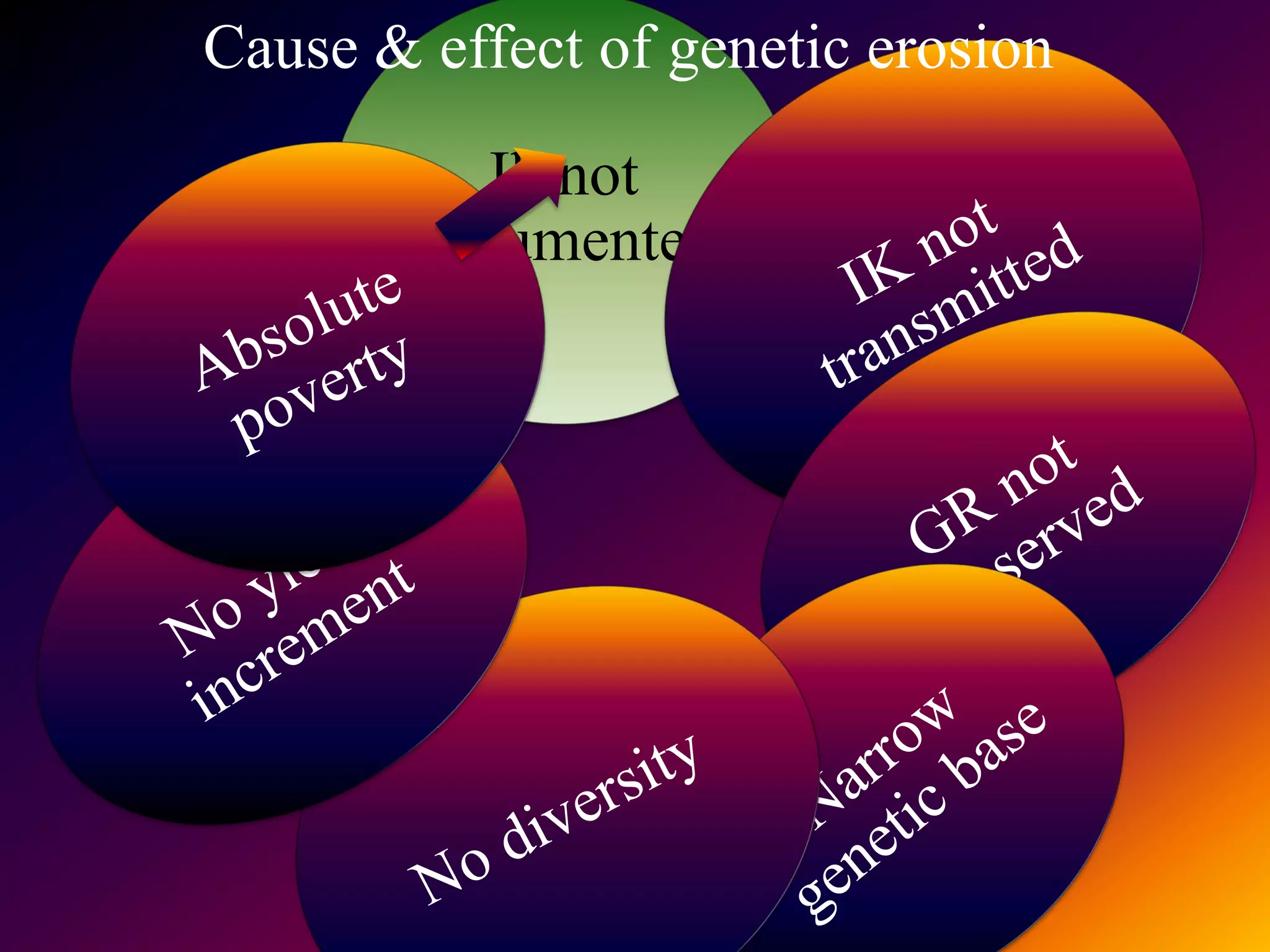 Cause & effect of genetic erosion
          Ik not
       documented
 