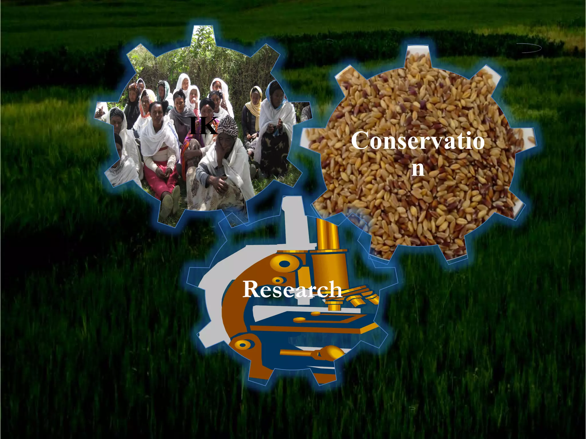 IK
                Conservatio
                    n



     Research
 