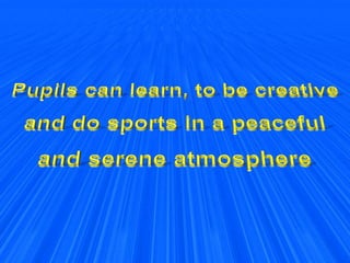 Presentation for Darica - short version