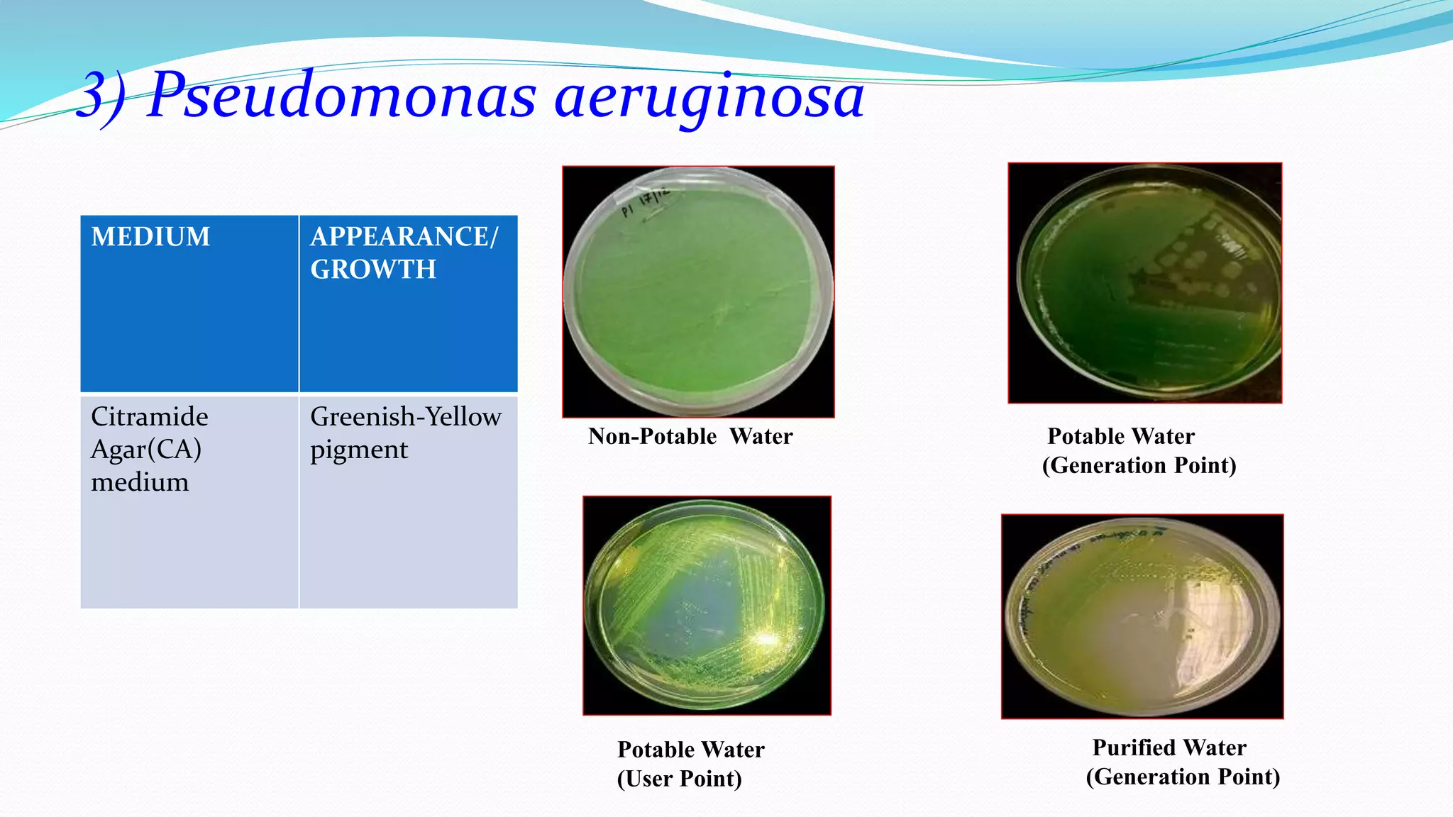 MEDIUM APPEARANCE/
GROWTH
Citramide
Agar(CA)
medium
Greenish-Yellow
pigment
3) Pseudomonas aeruginosa
Non-Potable Water Potable Water
(Generation Point)
Potable Water
(User Point)
Purified Water
(Generation Point)
 