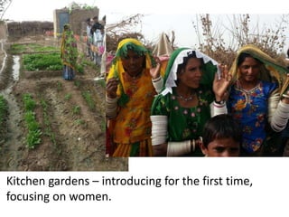 Kitchen gardens – introducing for the first time,
focusing on women.

 