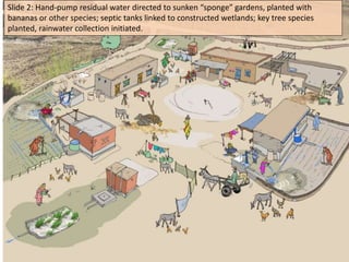 Slide 2: Hand-pump residual water directed to sunken “sponge” gardens, planted with
bananas or other species; septic tanks linked to constructed wetlands; key tree species
planted, rainwater collection initiated.

 