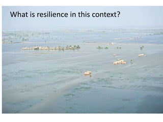 What is resilience in this context?

 