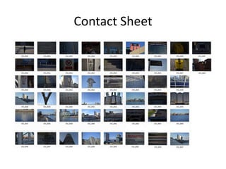 Contact Sheet
 