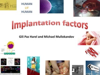 Gili Paz Harel and Michael Mullokandov
 