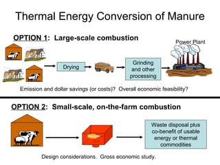Thermal Energy Conversion of Manure OPTION 1 :  Large-scale combustion OPTION 2 :  Small-scale, on-the-farm combustion Dry...