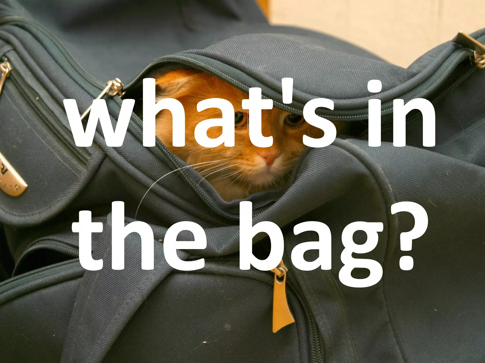 what's in
the bag?
 
