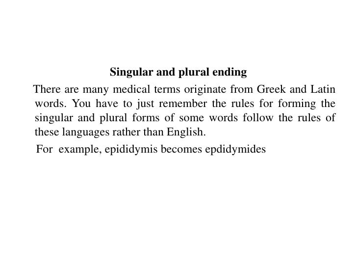 presentation for medt plural form of epididymis