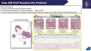 Multi-Resolution Pathology-Language Pre-training Model with Text-Guided ...