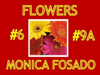 FLOWERS #6 #9A MONICA FOSADO 
