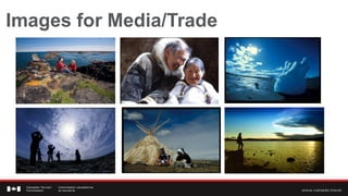 Images for Media/Trade
 
