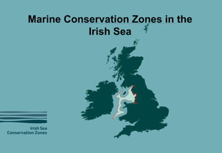 Marine Conservation Zones in the Irish Sea 