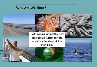 Why Are We Here? Help secure a healthy and productive future for the coast and waters of the Irish Sea.   