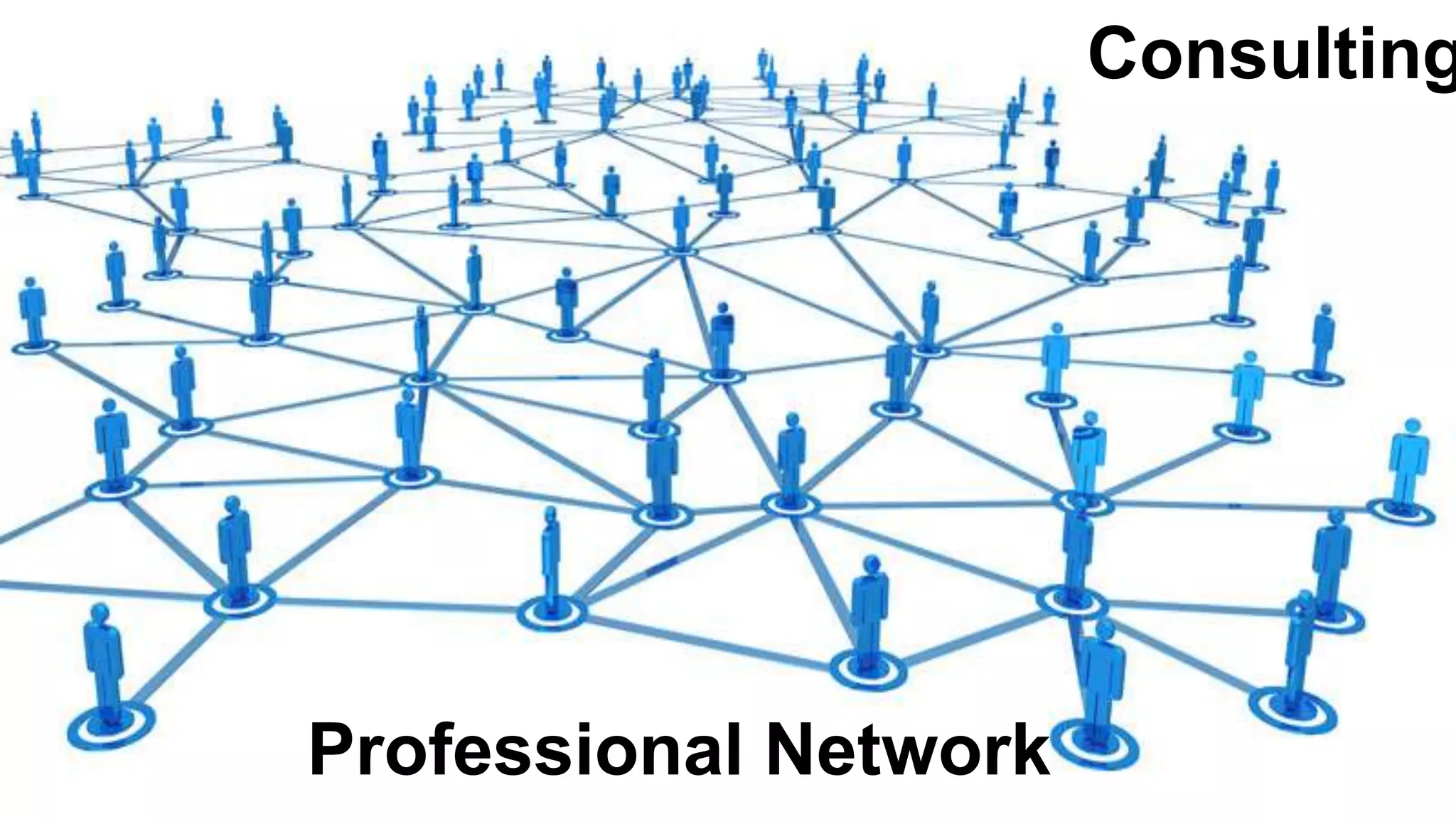 Consulting
Professional Network
 