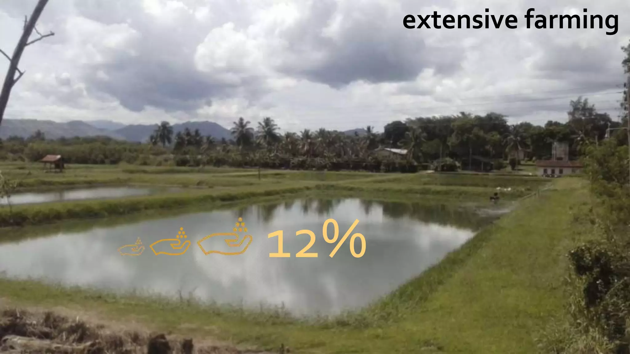 extensive farming
12%
 