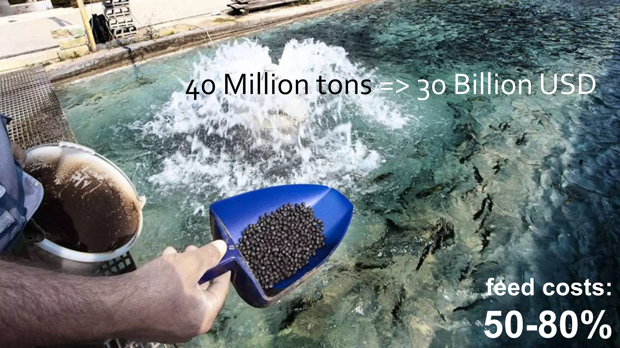 feed costs:
50-80%
40 Million tons => 30 Billion USD
 